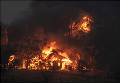 Vineyard Estate Survives Firestorm